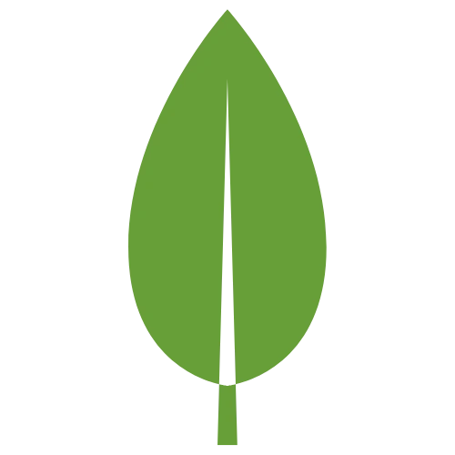 MongoDB